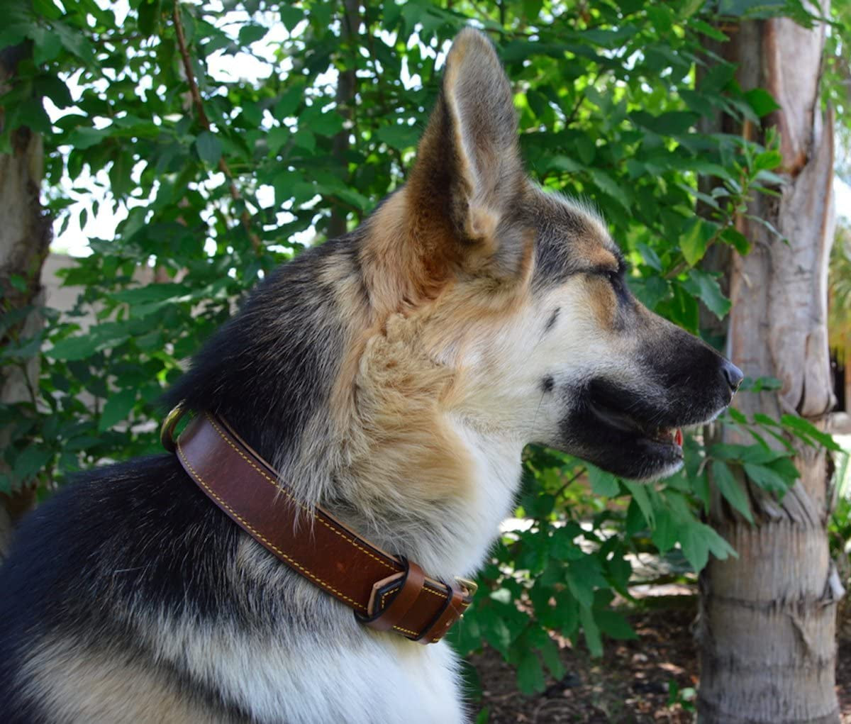 Genuine Padded Leather Collar — photo 10 of 10