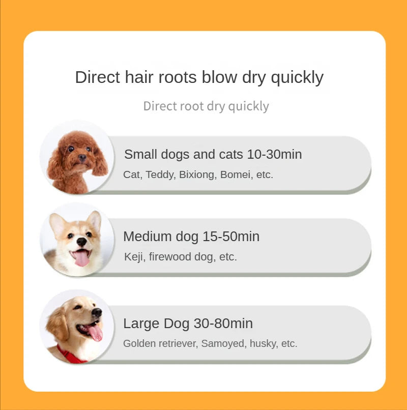 QuietDry Blower — photo 1 of 10