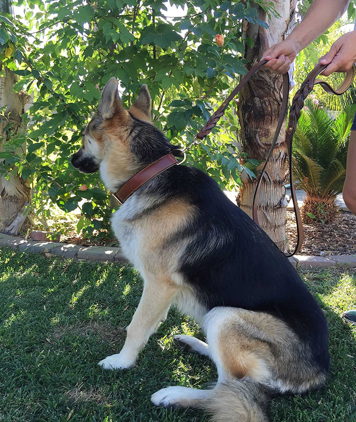 Genuine Padded Leather Collar — photo 9 of 10