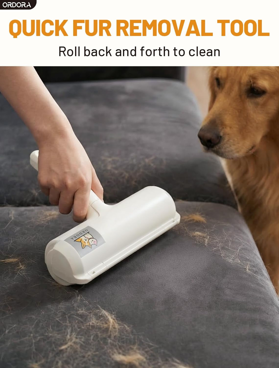 Refill-Free Pet Hair Roller — photo 3 of 9
