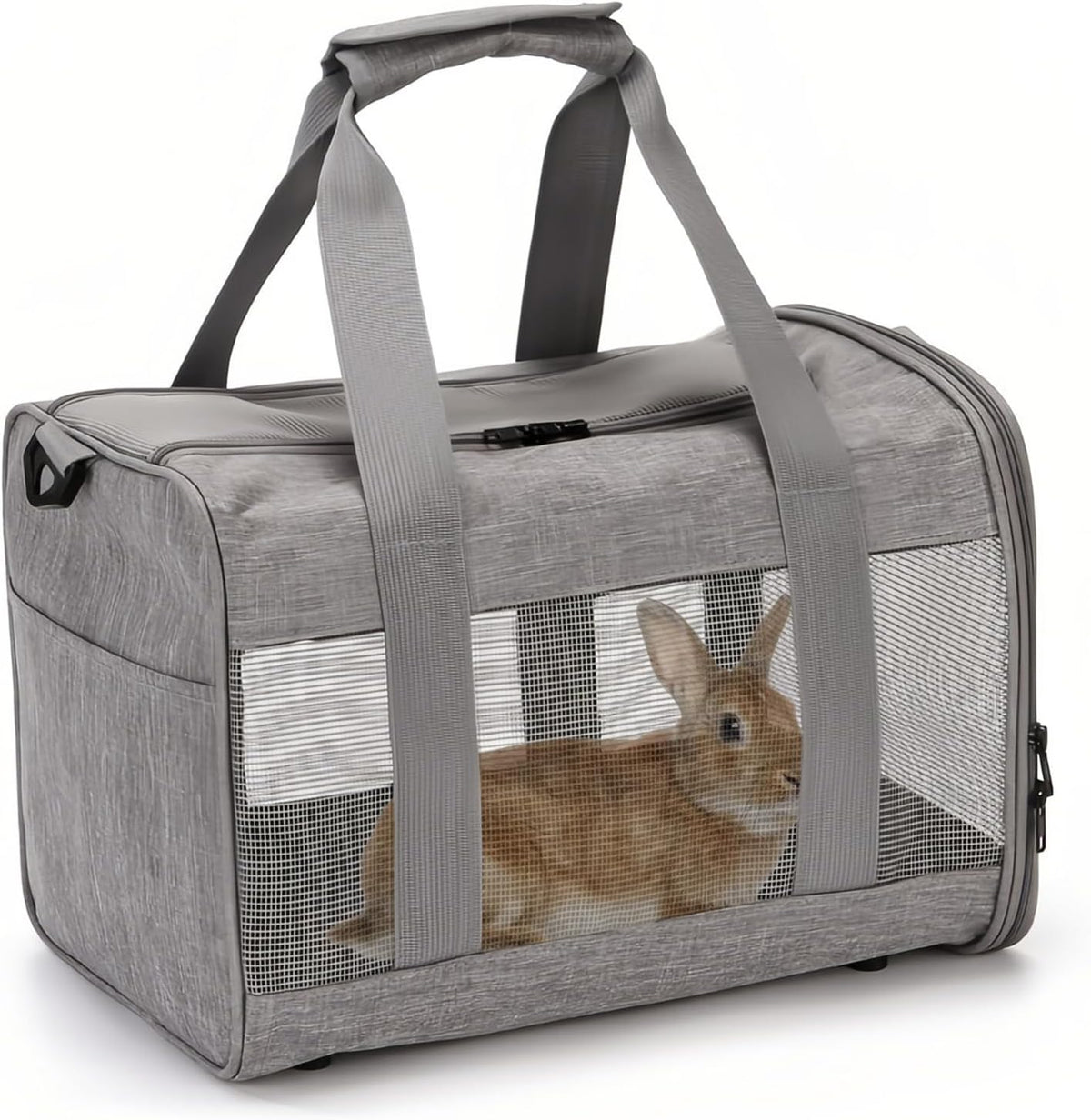 Breathable Small Pet Travel Carrier — photo 2 of 8